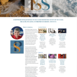 thestuffofsuccess.com